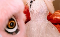 2019年天天夜夜干